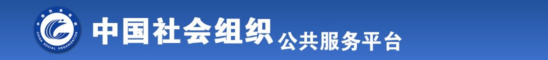 啊啊啊啊肏爽歪歪全国社会组织信息查询